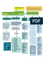 Mapa Conceptual.