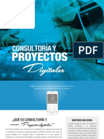 Consultoria y Proyectos Digitales