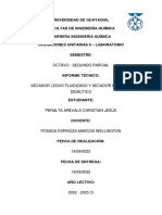 INFORME - SECADOR LECHO FLUIDIZADO y TUNEL Peralta Christian