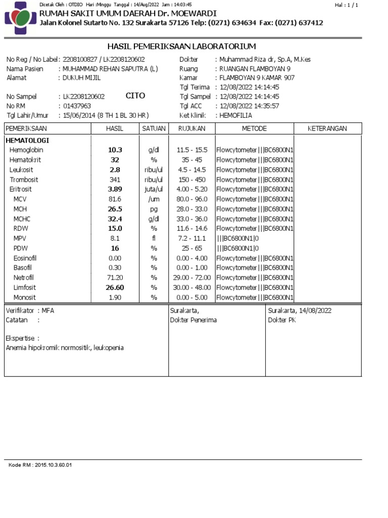 Analysis of a Patient's Hematology Test Results Indicating Anemia