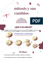 La Mitosis y Sus Cambios