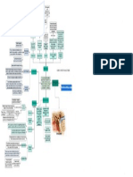 Mapa Otosclerosis