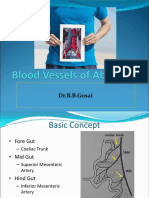 Blood Vessels of Abdomen-PIMSR DR - Gosai 2022