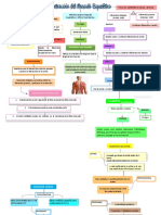 Contracción muscular: Mecanismo de la contracción y tipos