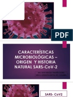 Origen SARS-CoV2