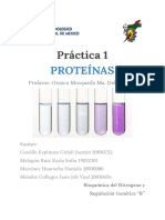 Reporte Práctica-Proteínas