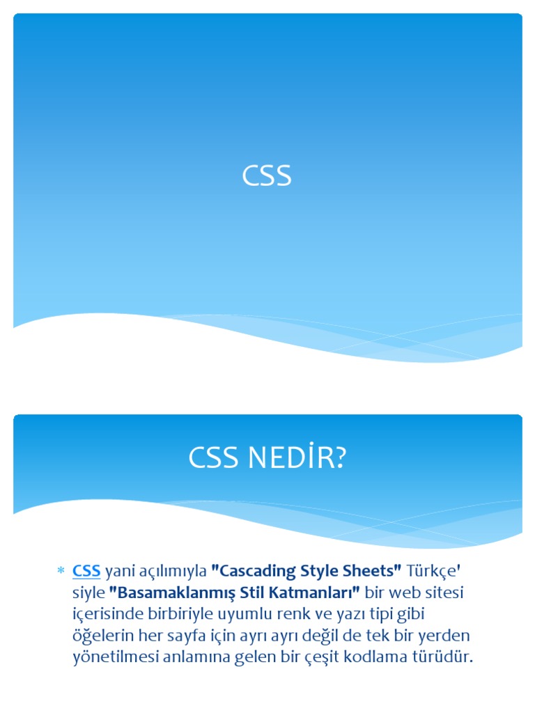 Css 1 | PDF