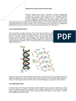 Mengenal DNA Dan RNA Dalam Pewarisan Sifat