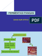 Fermentasi