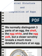 Physical Structure and Composition of Eggs