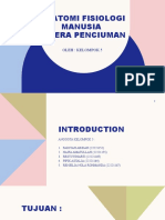 Anatomi Fisiologi Manusia Indera Penciuman Kelompok 5