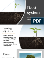 Roots System