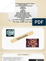 Salmonella CadenaEpd Equipo 10