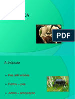 Parasito Artropoda