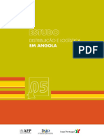 Distribuicao Logistica Angola