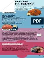 Infografía Poriferos