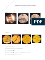 Biología Vista Microscopio