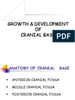 Cranial Base