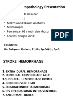 Praktikum Slide Neuropath