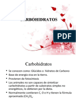 BQ Clase8 Carbohidratos