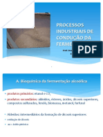 Processos Industriais Fermentativos