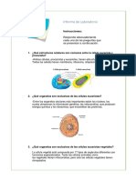 Actividad N°3 (Taller)