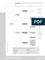 esquemasconceptuales-7