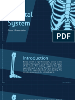 Skeletal System Group 1 Presentation