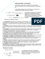 Magnitudes Escalares y Vectoriales