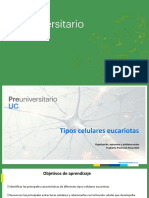 Tipos celulares eucariotas: estructura y función