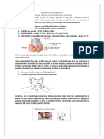 Od-M3-T1-Moran Facundo Renso