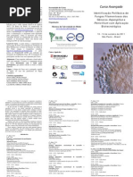 Curso de Identificação Fungos