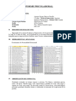 Informe psicolaboral