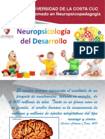 Diapositivas Tema 1