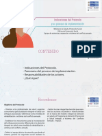 Indicaciones Protocolo Proceso Implementacion