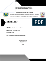 DDHH Aplicados Ensayo PDF