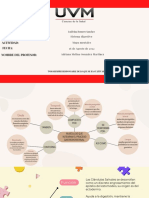 Sistema digestivo: Mapa conceptual del esófago