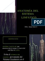 Sistema Arterialvenososlinfatico