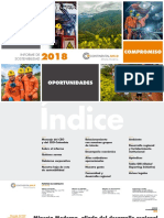 Espanol - Informe Sostenibilidad 2018