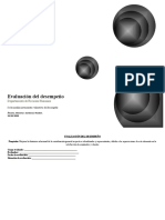 Evaluación Del Desempeño