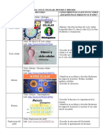 02 Temario Ciclo Celular Mitosis y Meiosis