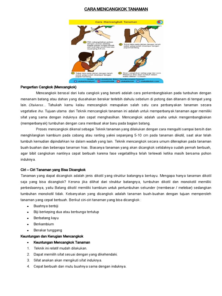 Cara Mencangkok Tanaman | PDF