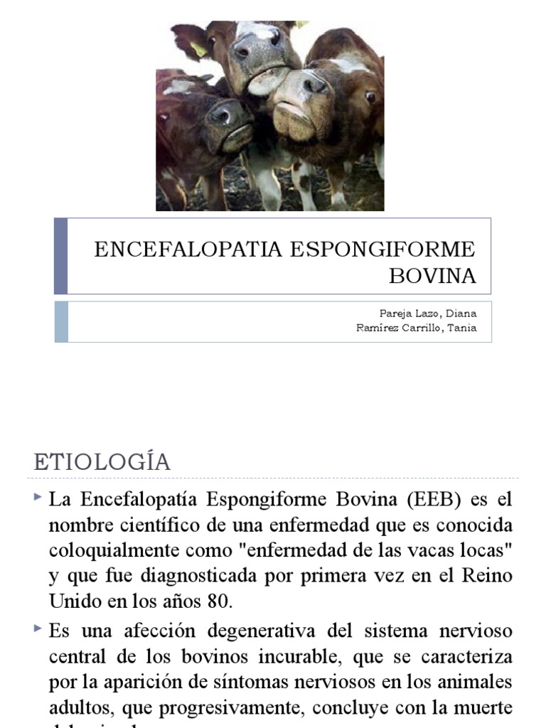 Encefalopatía Espongiforme Bovina: Síntomas y Riesgos | PDF ...