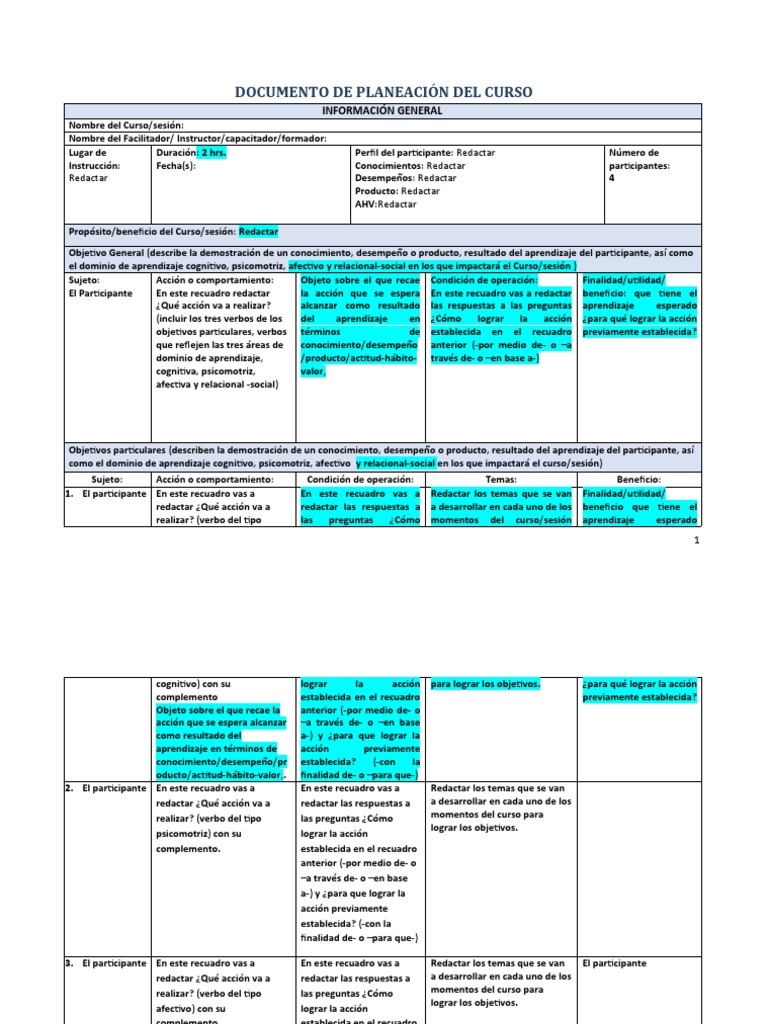 Ejemplo Documento de Planeación Del Curso | PDF | Evaluación | Aprendizaje