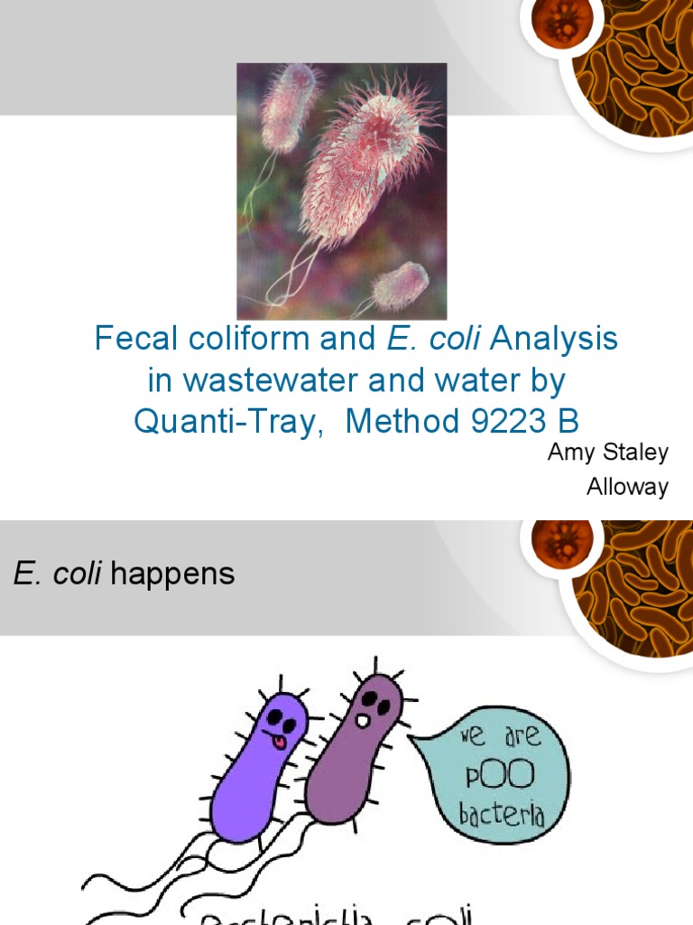 E. coli and Fecal Coliform Testing Methods | PDF | Escherichia Coli ...