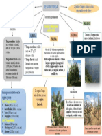 Practica II Realidad Geografica