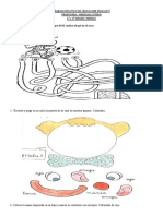 TRABAJO PRACTICO N°2 1° y 2°