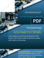Introduction To Histopathology
