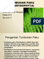 Ipa KLP 3