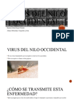 Virus Del Nilo Occidental